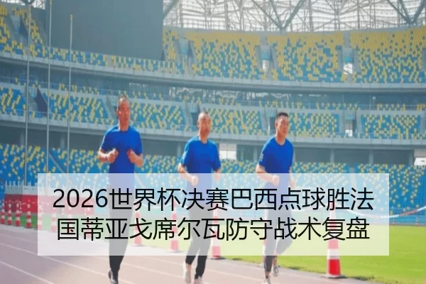 shi-jie-bei-jue-sai-ba-xi-dian-qiu-sheng-fa-guo-di-ya-ge-xi-er-wa-fang-shou-zhan-shu-fu-pan-2-339.jpg